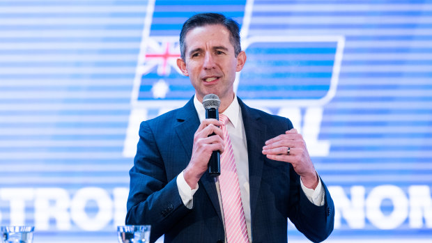 Simon Birmingham has identified a number of key failures of the Liberal Party in losing the 2022 election. 