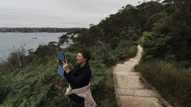 The NSW government is upgrading a section of Sydney Harbour Scenic Walk between Georges Heights and Middle Head. 