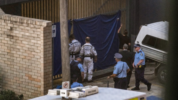 Police at Royal Prince Alfred Hospital were able to contain the baboons.