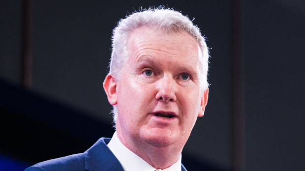 Employment Minister Tony Burke has suggested the federal government will again recommend the minimum wage rise in line with inflation.