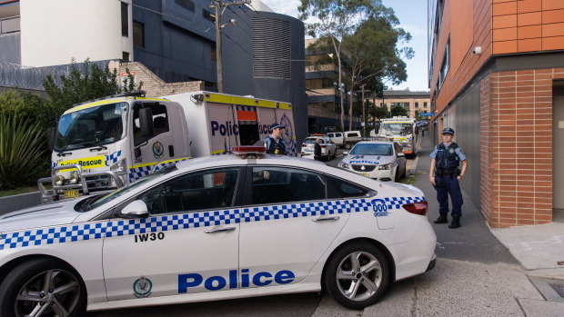 Police at Royal Prince Alfred Hospital where three baboons escaped. 