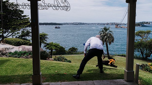Morrison with his dog Buddy on the lawns of Kirribilli House. Morrison’s assessment of the national psyche is that “Australia is not a country where people want to spend every afternoon talking about politics”.