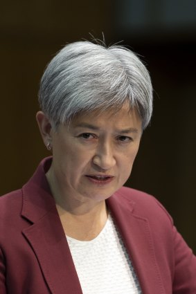 Foreign Minister Penny Wong has faced backlash after suggesting a Palestinian state may be the only solution to the war in Gaza.
