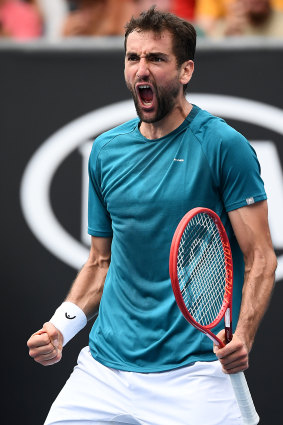 Fired up: Marin Cilic.