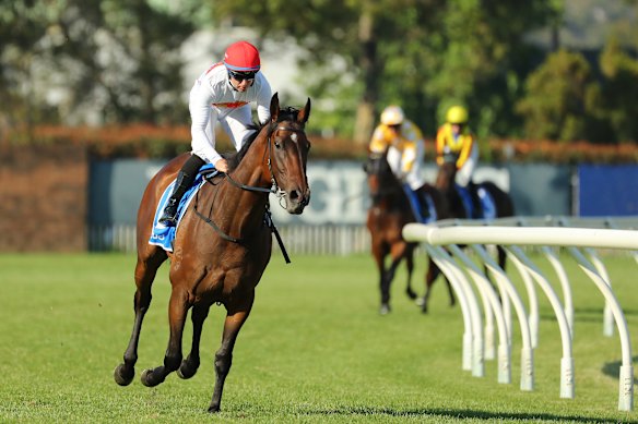 Price confident winning filly will become Classic contender