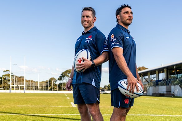 Bernard Foley and Nick Phipps are back at the Waratahs.