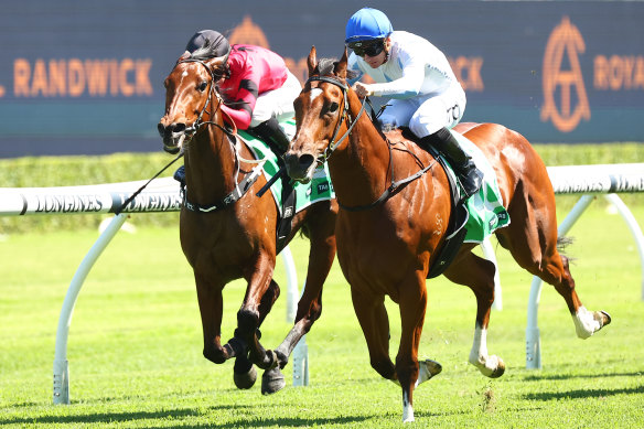 Boston Rocks wins for Nathan Doyle at Randwick on Saturday.