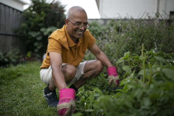 Om Dhungel gardening in his backyard in Blacktown. He is known as being the community leader who encouraged the ideals of Australian homeownership for the Bhutanese refugee community.
