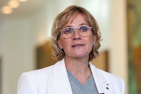 Member for Warringah Zali Steggall.