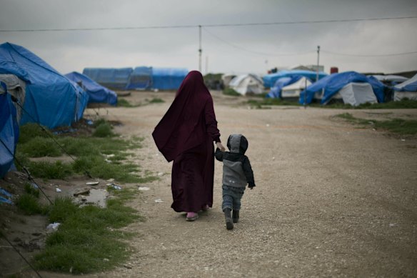 Authorities are ready for the arrival of the woman from Syria, according to Home Affairs Minister Tony Burke.