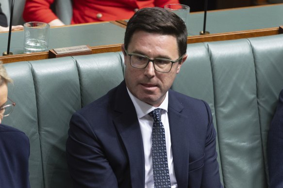 Nationals leader David Littleproud.