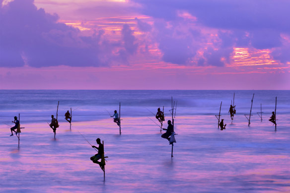Fishermen on stilts at sunset, Sri Lanka.