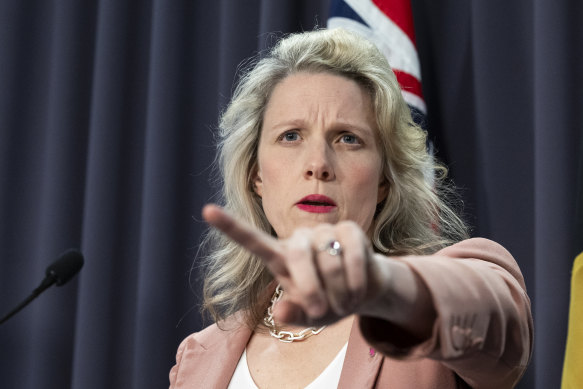 Home Affairs Minister Clare O’Neil has questioned whether Australia’s most prestigious institutions are on board with the government’s migration strategy.