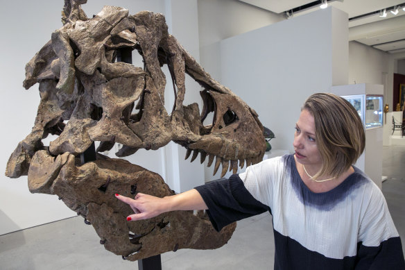 Cassandra Hatton, global head of department, Science & Popular Culture at Sotheby’s, with the Tyrannosaurus rex skull excavated from Harding County, South Dakota.