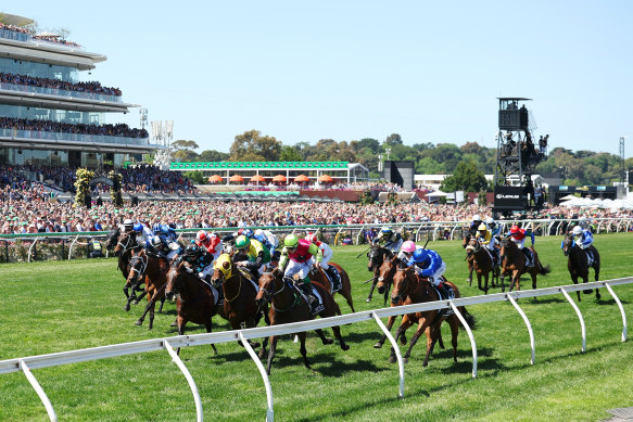 Outsider Knight’s Choice - pink silks with green sleeves and green hat - wins the 2024 Melbourne Cup.