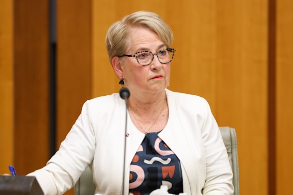Greens senator Barbara Pocock.