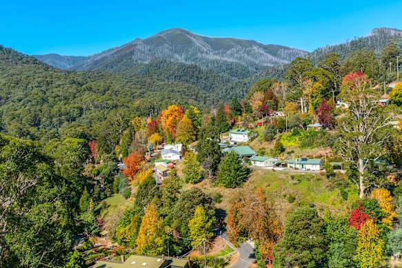 Rents have eased in the Alpine Shire.