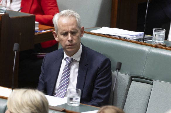 Immigration Minister Andrew Giles says the government’s deportation laws and its safeguards are “entirely appropriate”.