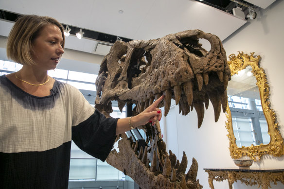 The dinosaur skull was expected to fetch up to $US20 million.