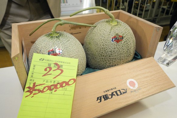 A pair of premium melons, produced in Yubari in Hokkaido, fetch 3.5 million yen ($25,000) in the first auction of 2023 in Sapporo.
