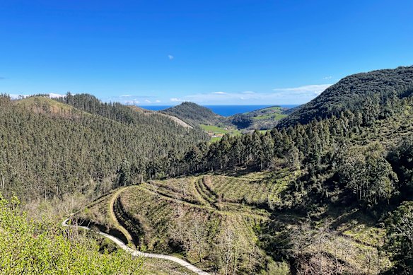 Rural scenery along the pilgrimage route.