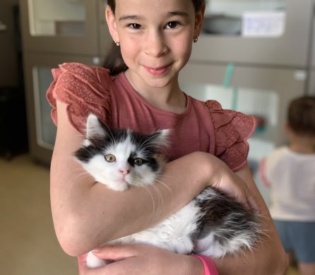 Best friends: Ava, 12, enjoys cat cuddling at the Cat Protection Society of Victoria.