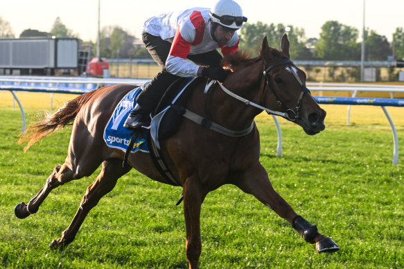Steven Arnold gallops Land Legend at Caulfield last month.