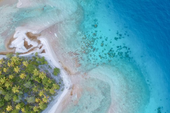A Europe-sized section of the floor of the Pacific Ocean is a tempting repository of mineral-rich rocks.