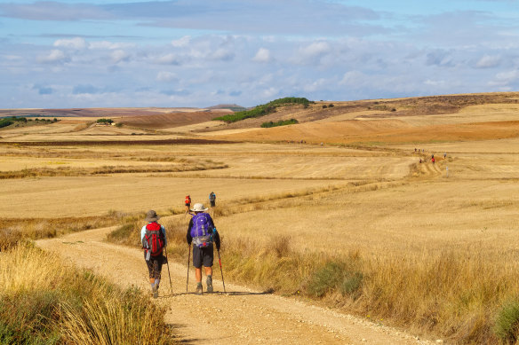On the road again … pilgrims traverse open plains.