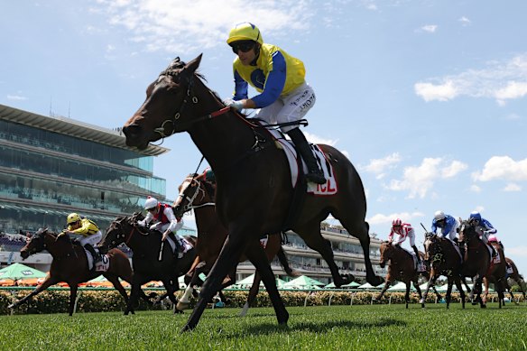 Jamie Mott rides First Chorus to victory in the TLC Trophy. 