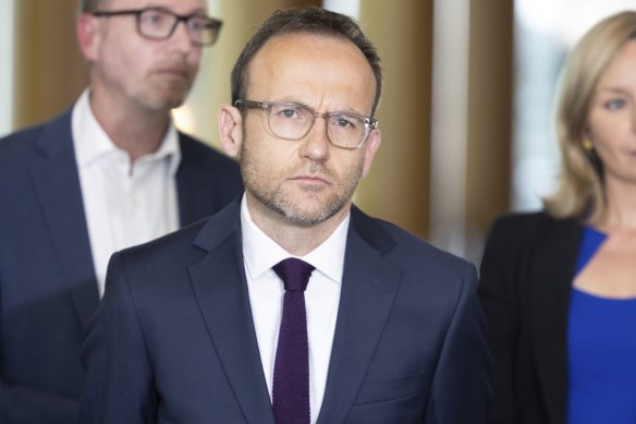 Greens leader Adam Bandt has refused to say whether he is investigating accusations of verbal abuse by one of his MPs.