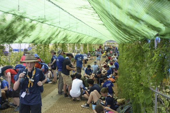 World Scout Jamboree attendees rest in the shade at the camping site in South Korea on Friday.