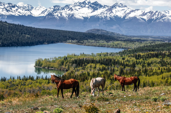 The wilderness lodge is surrounded by mountain ranges and glaciated lakes.