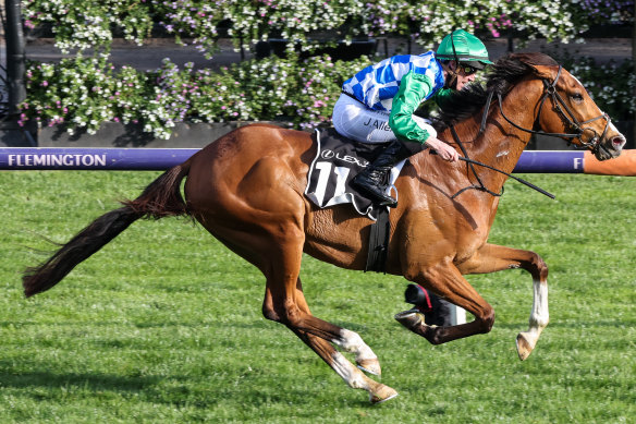 Former Melbourne Cup runner Grand Promenade, pictured here running at Flemington, was euthanised after falling at Warrnambool.