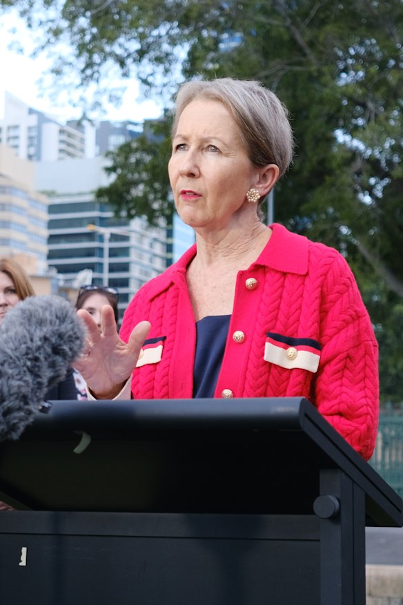 Labor youth justice spokeswoman Di Farmer.