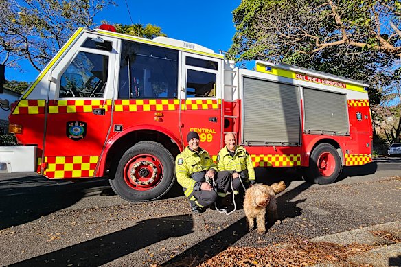 10-year-old Spoodle named Heidi took a morning sprint along the T1 North Shore line during the morning peak. She managed to evade rescuers for just over an hour and completed two laps of the Sydney Harbour Bridge as she ran through Milsons Point and North Sydney Stations. 