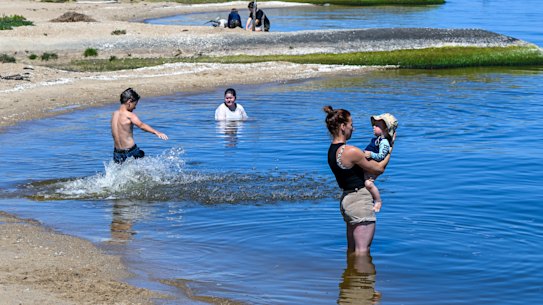 Barriers built in the attempt to stop coastal erosion at Loch Sport, Victoria.