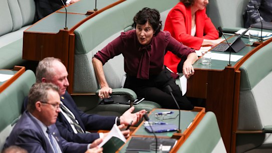 Kate Chaney and Barnaby Joyce after she raised a point of order on comments made by the former Nationals leader