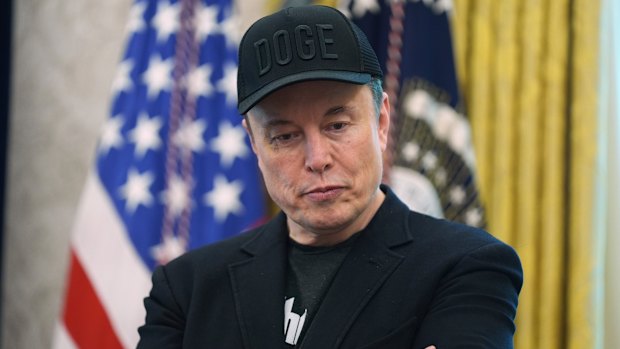 Elon Musk in the Oval Office last week.