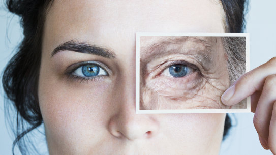 Can we turn back the clock of ageing? Scientists are trying to.