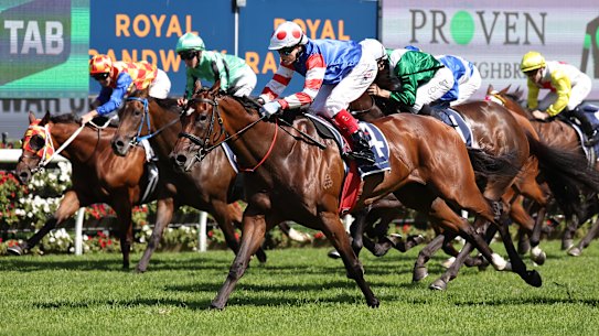 Eles competem novamente em Randwick no sábado.