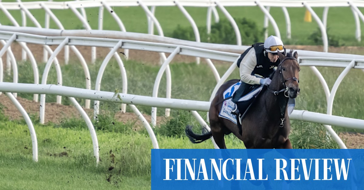 Melbourne Cup tips: Macqaurie likes Deauville Legend to win - Vimarsana News