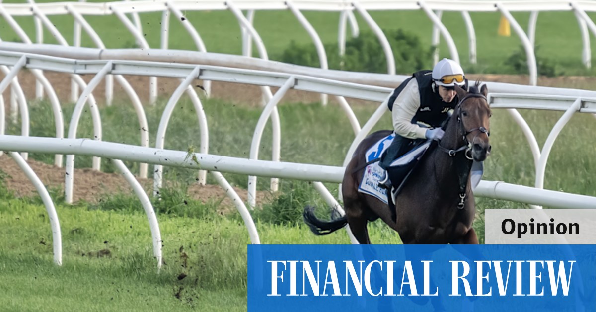 MELBOURNE CUP 2022: How bookie Betr became the big story of this year's race - Vimarsana News