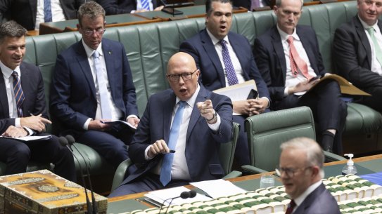 Opposition Leader Peter Dutton and Prime Minister Anthony Albanese during question time on Monday.