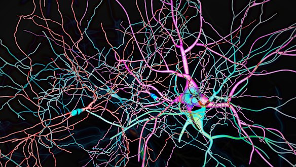 Your brain is totally firing as you read this  article. 