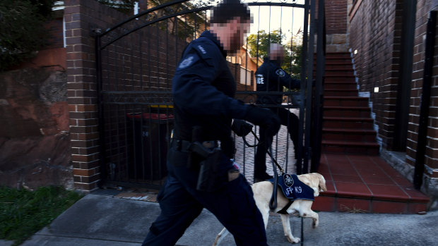 AFP officers from the canine unit enter a property in Earlwood owned by Arthur Alex.