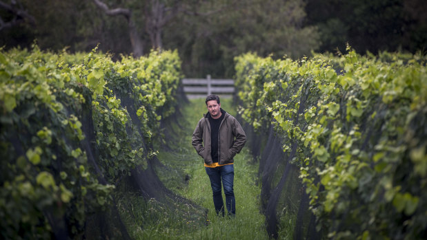 Peter Dillon, chief winemaker at Handpicked Wines.