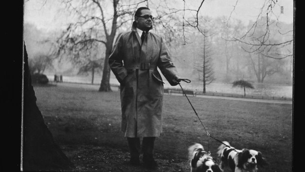 Charlotte Bingham’s
father John walks his
dogs in a London park. 