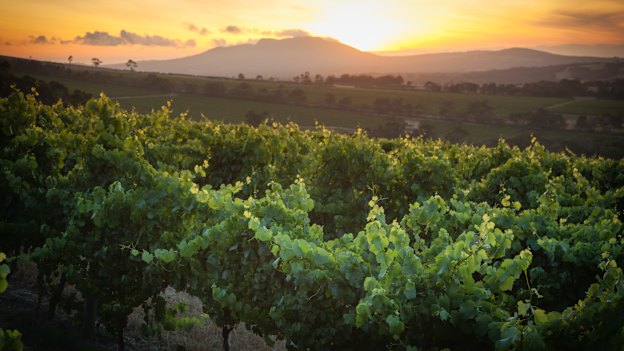 Howard Park Wines in Margaret River.