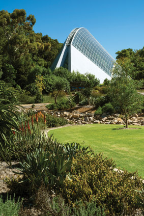 Bicentennial Conservatory in the Adelaide Botanic Garden.